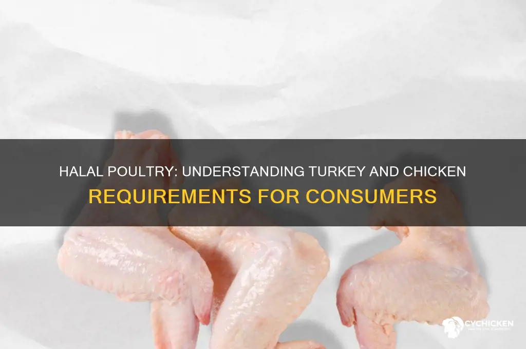 does turkey and chicken have to be halal