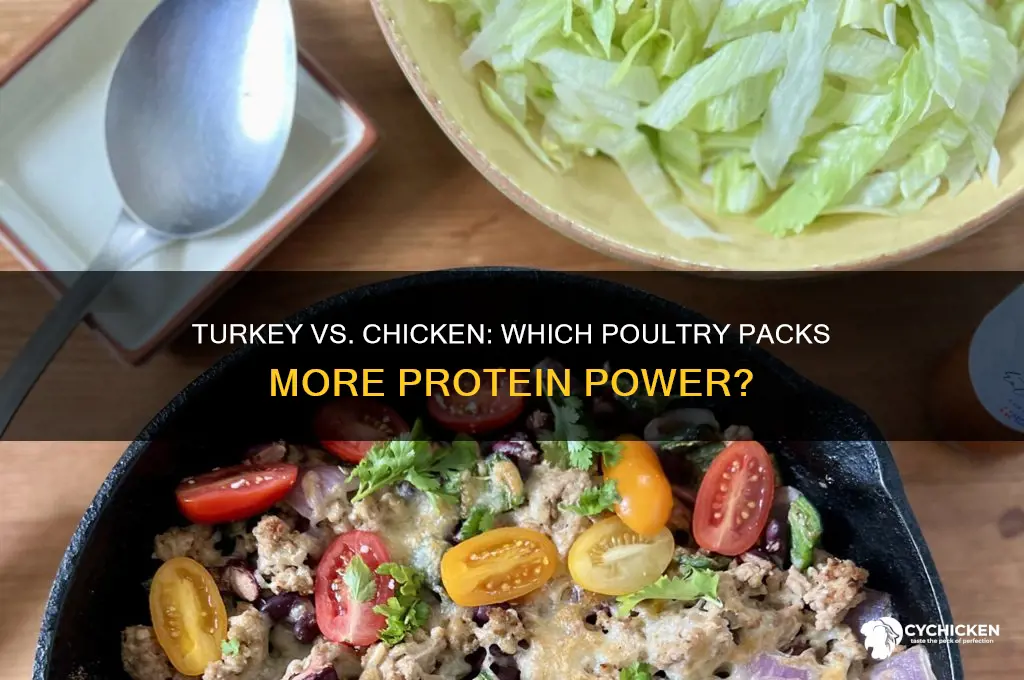 does turkey contain more protein than chicken