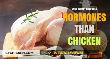 Turkey vs. Chicken: Hormone Levels Compared for Healthier Choices
