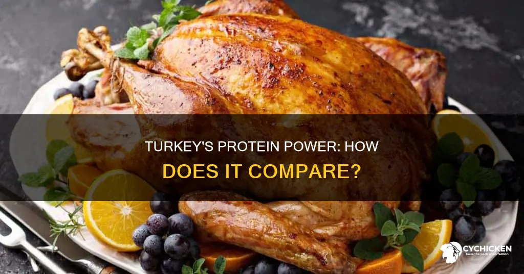 does turkey have less protein than chicken or beef