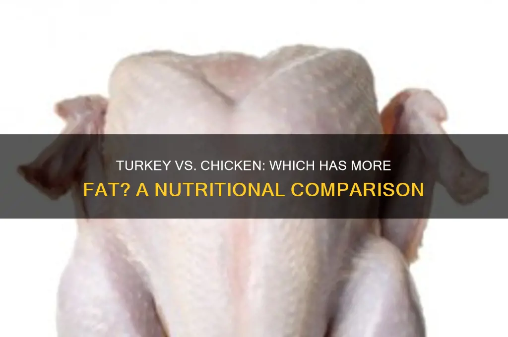 does turkey have more fat than chicke
