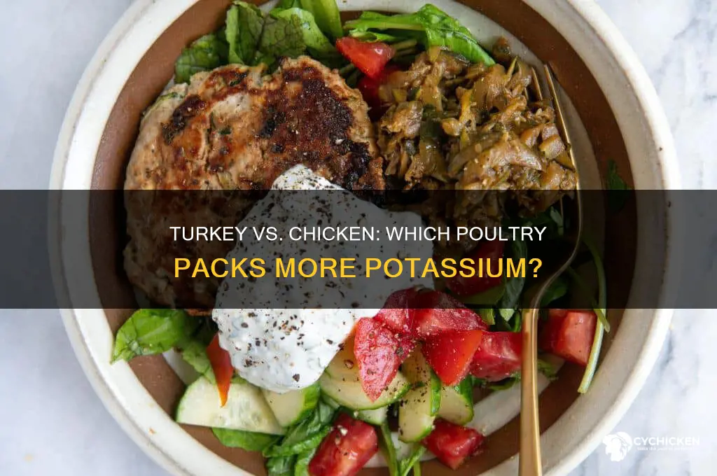 does turkey have more potassium than chicken