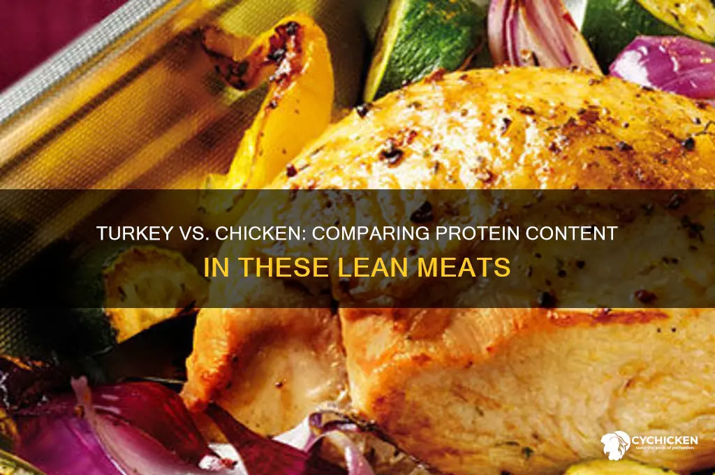 does turkey have the same protein as chicken