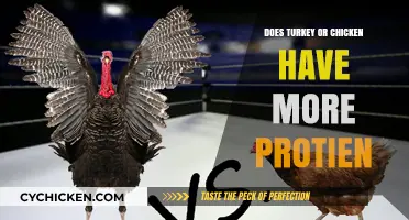 Turkey vs. Chicken: Which Poultry Packs More Protein Power?