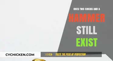 Two Chicks and a Hammer: Current Status and Legacy Explored