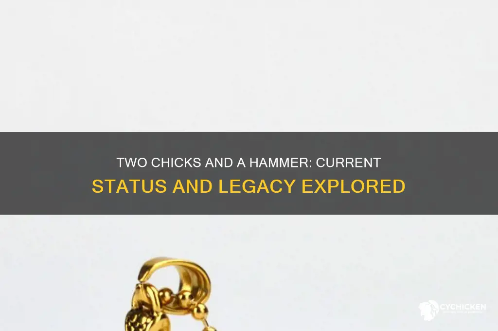 does two chicks and a hammer still exist