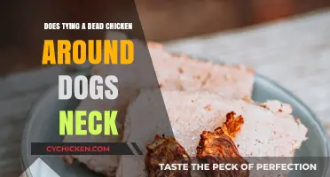 Tying a Dead Chicken Around a Dog's Neck: Myth or Remedy?