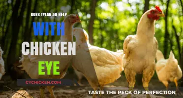Tylan 50 for Chicken Eye: Effective Treatment or Myth?