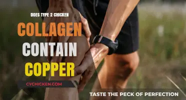 Does Type 2 Chicken Collagen Contain Copper? Unveiling Nutritional Facts