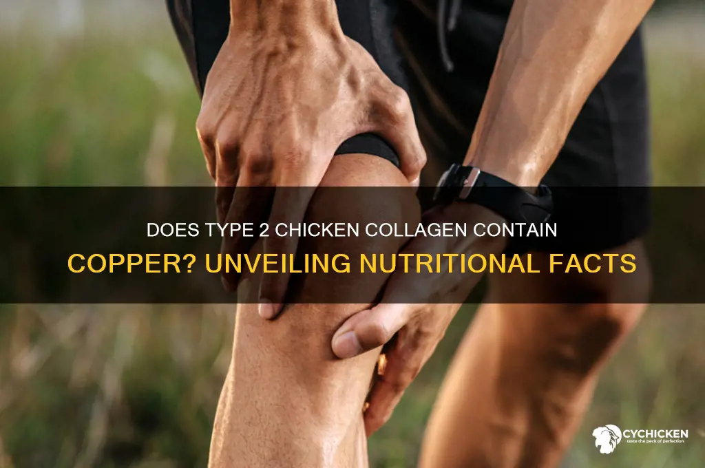 does type 2 chicken collagen contain copper