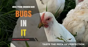 Does Tyson Chicken Contain Bugs? Unraveling the Truth Behind the Rumors