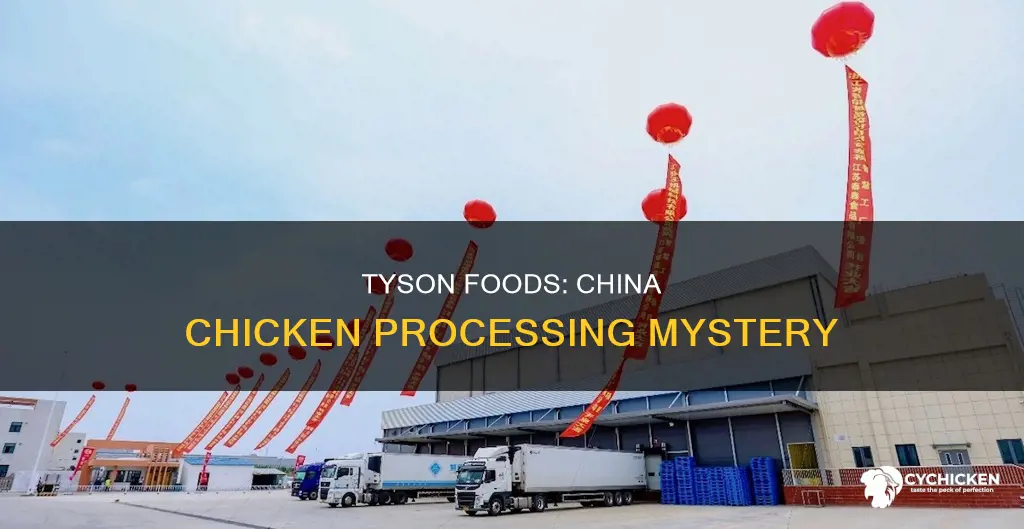 does tyson foods send chicken to china for processing