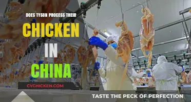 Is Tyson's Chicken Processed in China? Uncovering the Truth