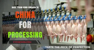 Does Tyson Send Chicken to China for Processing? Facts Revealed