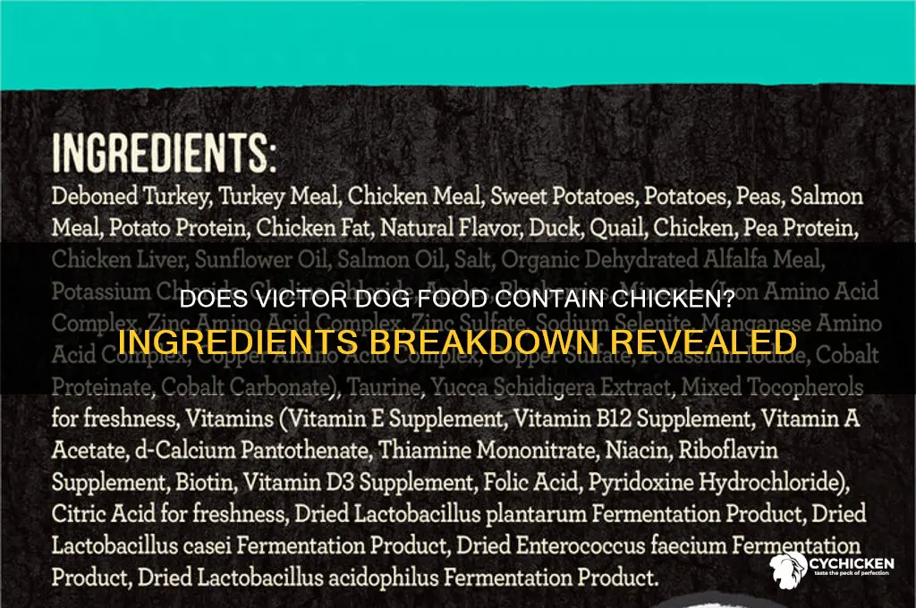 does victor dog food have chicken in it
