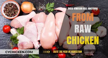 Vinegar's Power: Can It Kill Bacteria on Raw Chicken?