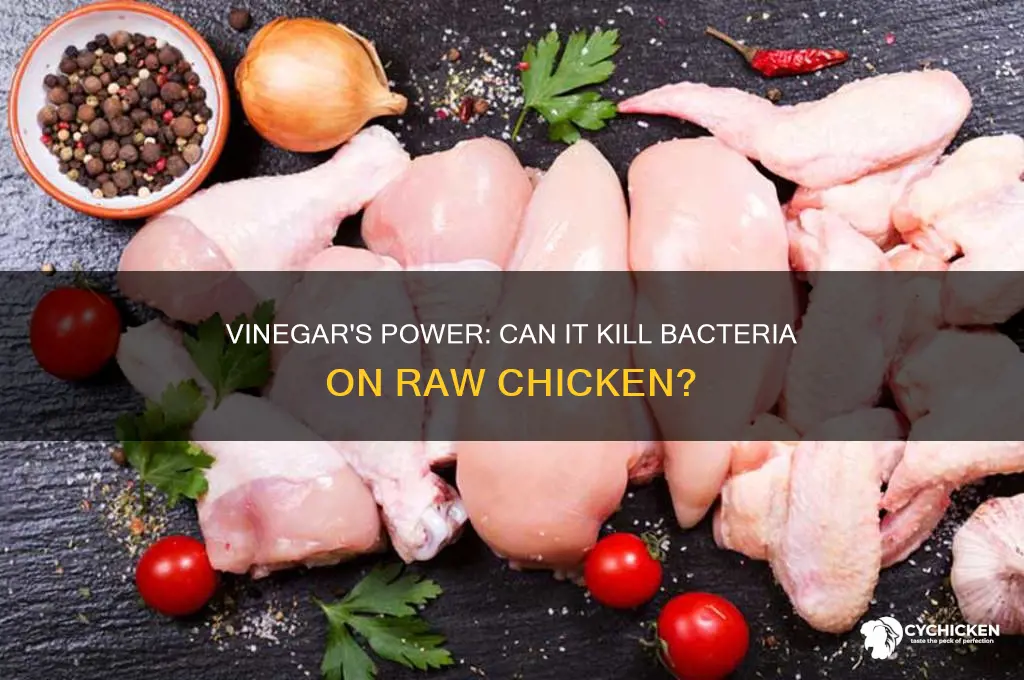 does vinegar kill bacteria from raw chicken