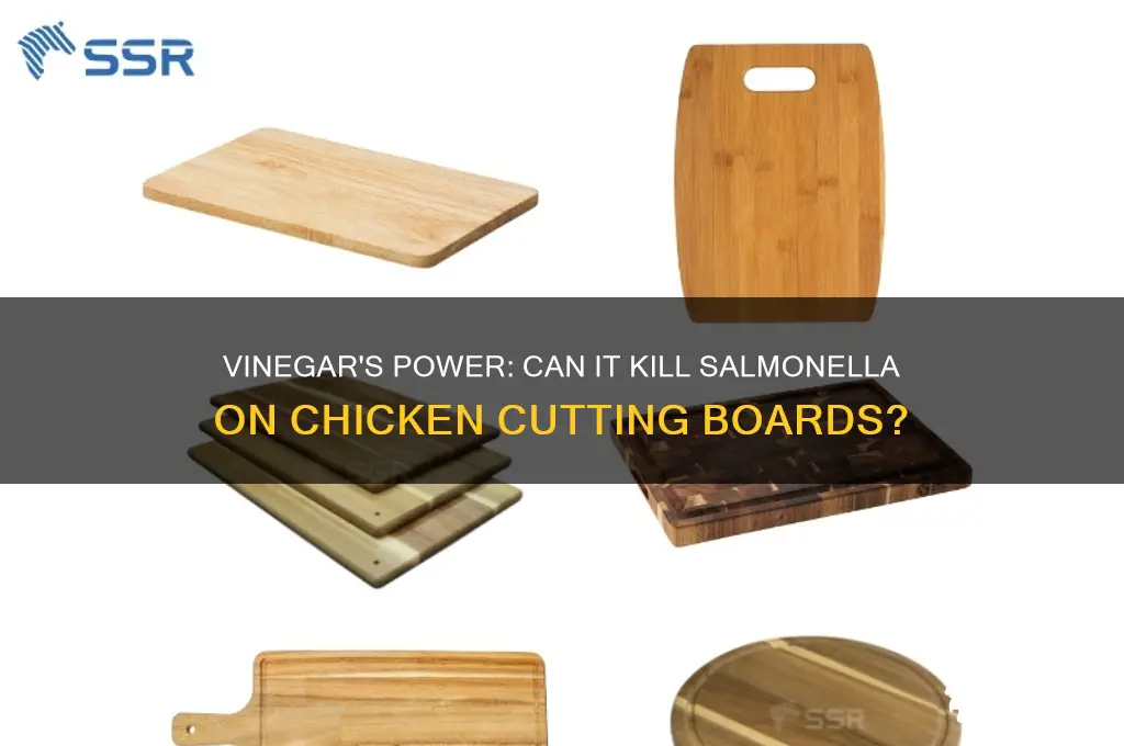 does vinegar kill salmonella in chicken cutting board