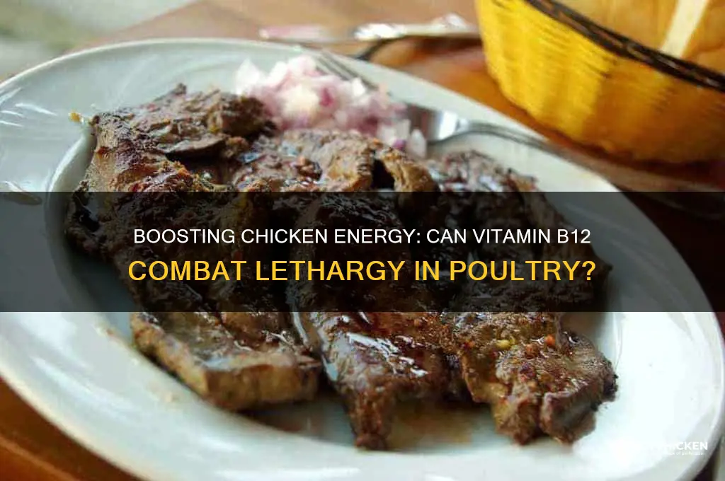 does vitamin b 12 help a lethargic chicken