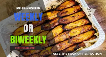 Viva Chicken Pay Schedule: Weekly or Biweekly? What to Expect