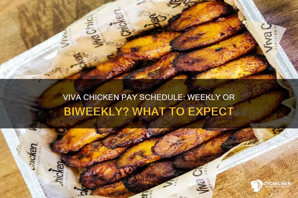 does viva chicken pay weekly or biweekly
