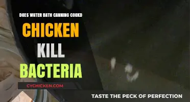 Water Bath Canning Cooked Chicken: Does It Eliminate Bacteria?