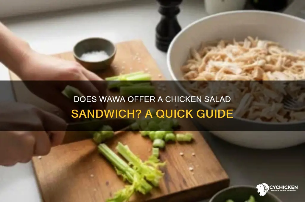 does wawa have chicken salad sandwich