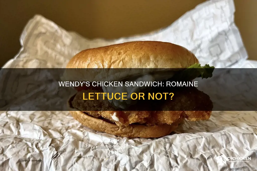 does wendy