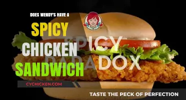 Wendy's Spicy Chicken Sandwich: Fact or Fiction? A Tasty Review