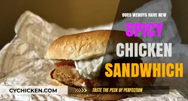 Wendy's New Spicy Chicken Sandwich: Is It Worth the Hype?