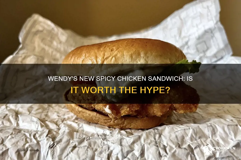 does wendys have new spicy chicken sandwhich