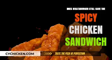 Is Whataburger's Spicy Chicken Sandwich Still on the Menu?