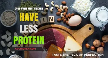 White Meat Chicken: Does It Really Have Less Protein Than Dark Meat?
