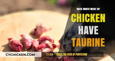 Does Chicken White Meat Contain Taurine? Uncovering Nutritional Facts