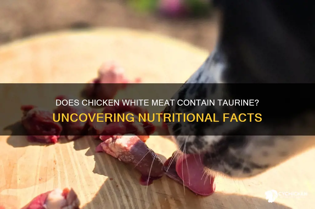 does white meat of chicken have taurine