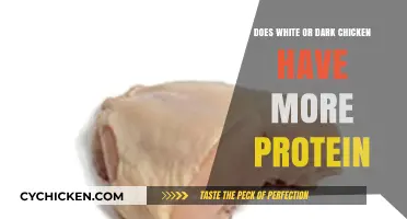 White vs. Dark Chicken: Which Offers More Protein?