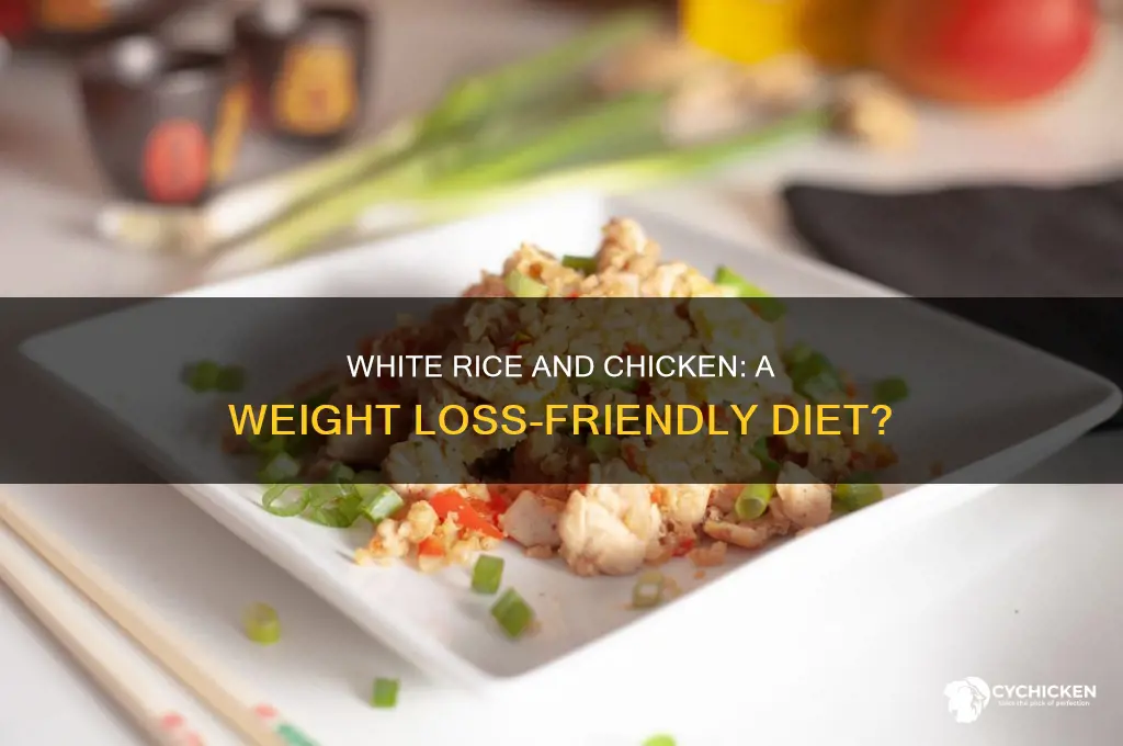 does white rice and chicken help lose weight