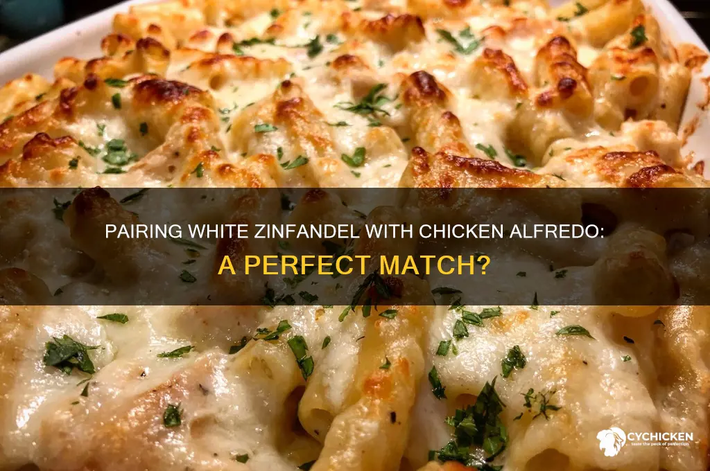 does white zinfandel go woth chicken alfredo