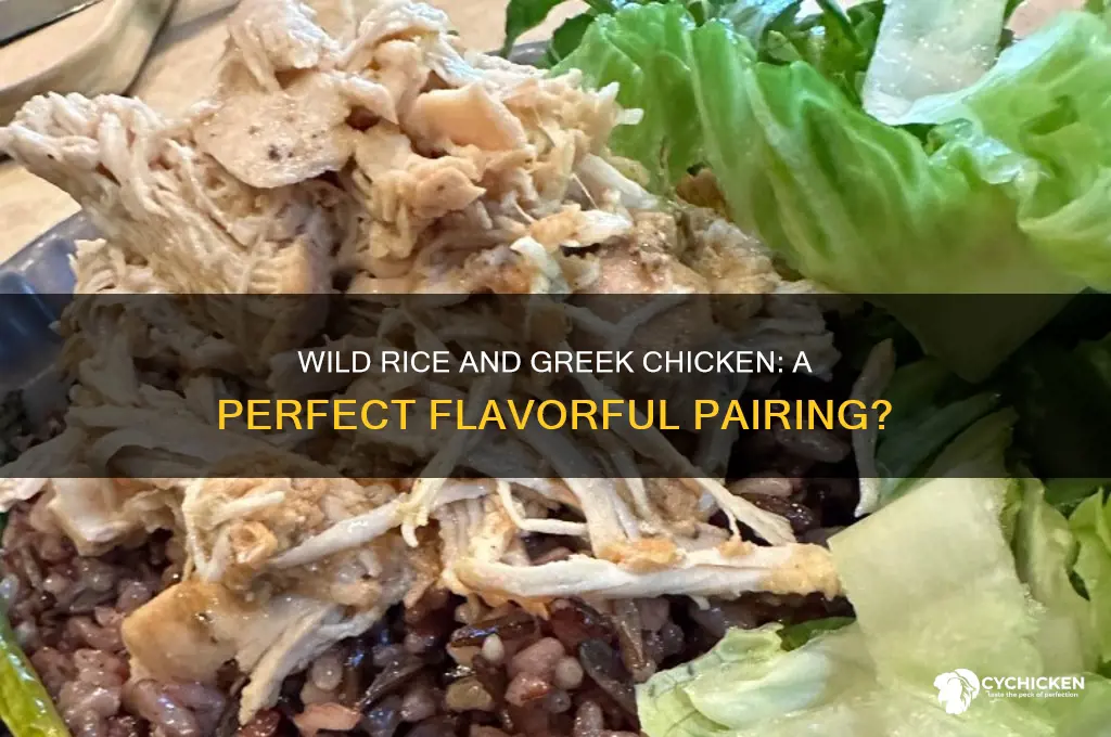 does wild rice go with greek chicken