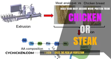 Chicken vs. Steak: Which Protein Source Is Best?