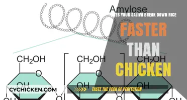 Saliva's Superpowers: Rice vs. Chicken Breakdown