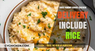 Does Yummy House Chicken Delivery Include Rice? Find Out Here