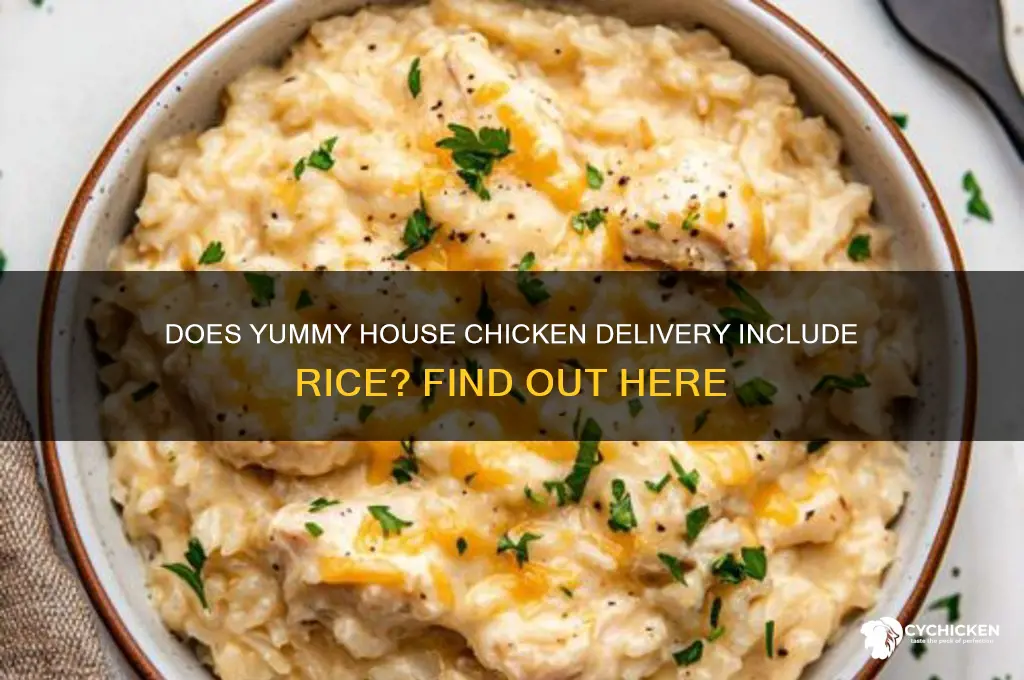 does yummy house chicken delivery include rice