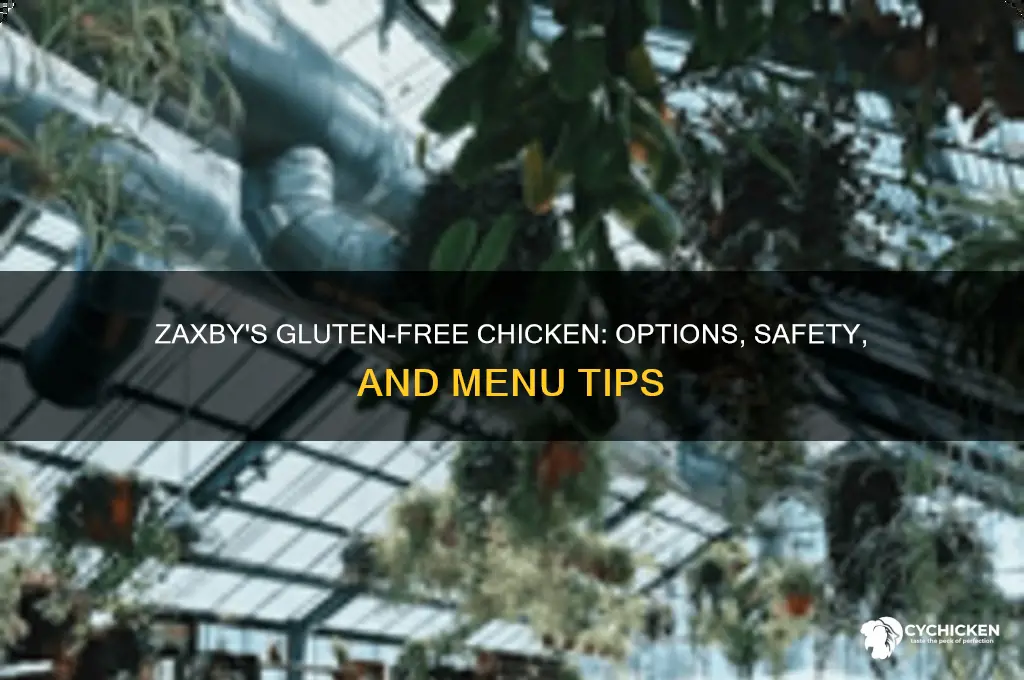 does zaxby