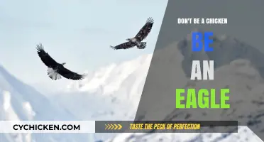 Soar Above the Crowd: Embrace the Eagle Within, Not the Chicken