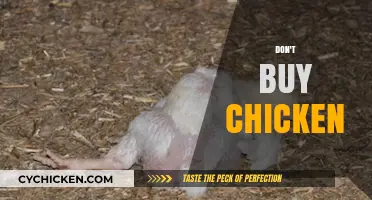 Skip the Chicken: Ethical, Health, and Environmental Reasons to Avoid It