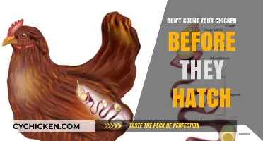 Avoid Premature Celebrations: The Wisdom of Unhatched Chickens
