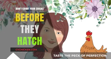 Avoid Premature Celebrations: The Wisdom of Unhatched Chickens