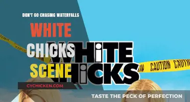 Chasing Waterfalls: Decoding the Iconic White Chicks Movie Scene