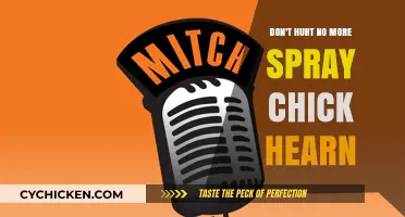 Chick Hearn's Don't Hurt No More Spray: A Pain Relief Review